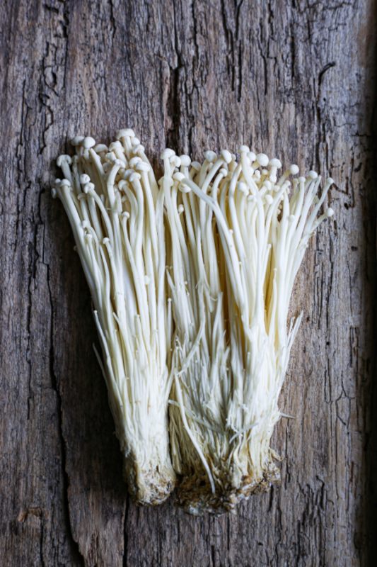 enoski mushrooms growing at home