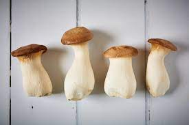 king-oyster-mushrooms
