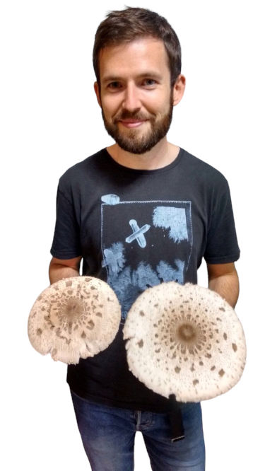 Matthew of MushroomGrowing