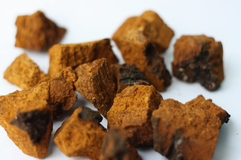 Chaga mushroom chunks